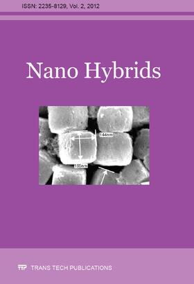 Nano Hybrids Vol. 2 | Sonstiges | 978-3-03859-200-6 | sack.de