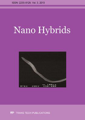  Nano Hybrids Vol. 3 | Sonstiges |  Sack Fachmedien