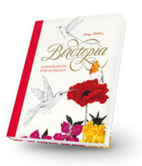 Fletcher |  Birdtopia Postkartenbuch | Buch |  Sack Fachmedien