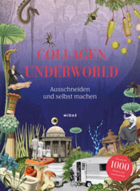 Scott |  Collagen Underworld | Buch |  Sack Fachmedien