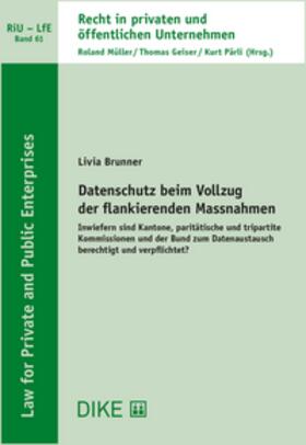 Brunner |  Datenschutz beim Vollzug der flankierenden Massnahmen | Buch |  Sack Fachmedien