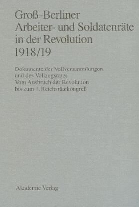 Engel / Holtz / Materna |  Groß-Berliner Arbeiter- und Soldatenräte in der Revolution 1918/19 | eBook | Sack Fachmedien