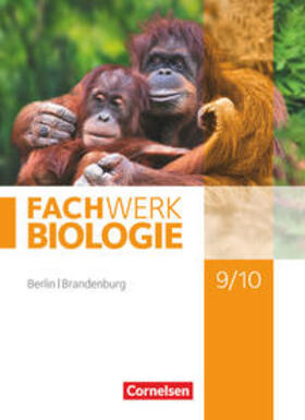 Hampl / Wehser / Janik |  Fachwerk Biologie 9./10. Schuljahr - Berlin/Brandenburg - Schülerbuch | Buch |  Sack Fachmedien