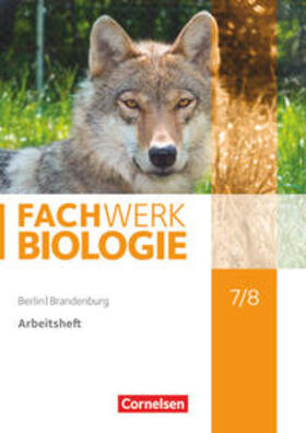 Wehser |  Fachwerk Biologie 7./8. Schuljahr - Berlin/Brandenburg - Arbeitsheft | Buch |  Sack Fachmedien