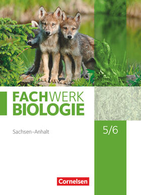  Fachwerk Biologie 5./6. Schuljahr. Sachsen-Anhalt - Schülerbuch | Buch |  Sack Fachmedien