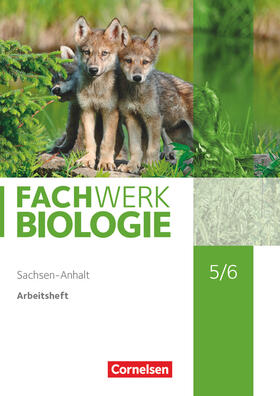  Fachwerk Biologie 5./6. Schuljahr. Sachsen-Anhalt - Arbeitsheft | Buch |  Sack Fachmedien