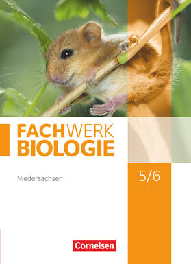 Hampl / Ritter / Herrmann |  Fachwerk Biologie 5./6. Schuljahr. Schülerbuch Niedersachsen | Buch |  Sack Fachmedien