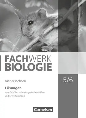 Hampl / Ritter / Herrmann |  Fachwerk Biologie - Niedersachsen - 5./6. Schuljahr | Buch |  Sack Fachmedien