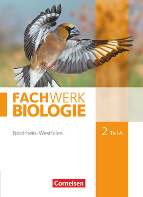 Hampl / Stelzig / Janik |  Fachwerk Biologie 02. Teil A Schülerbuch. Nordrhein-Westfalen | Buch |  Sack Fachmedien