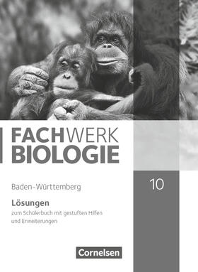 Hampl / Marquarth |  Fachwerk Biologie 10. Schuljahr - Baden-Württemberg - Lösungen zum Schülerbuch | Buch |  Sack Fachmedien