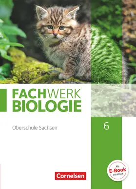 Hampl / Pohlmann / Pondorf |  Fachwerk Biologie 6. Schuljahr - Sachsen - Schülerbuch | Buch |  Sack Fachmedien