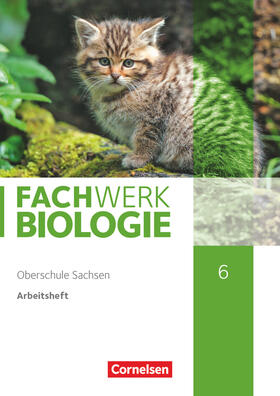 Wehser |  Fachwerk Biologie 6. Schuljahr - Sachsen - Arbeitsheft | Buch |  Sack Fachmedien