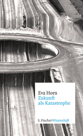 Horn |  Zukunft als Katastrophe | Buch |  Sack Fachmedien