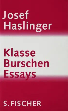 Haslinger |  Klasse Burschen | Buch |  Sack Fachmedien