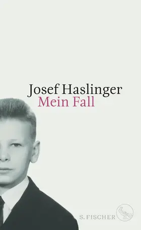 Haslinger |  Mein Fall | Buch |  Sack Fachmedien