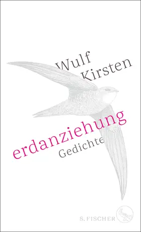 Kirsten |  Erdanziehung | Buch |  Sack Fachmedien