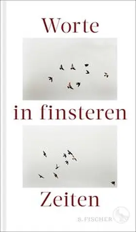 Vogel / Heppe / Baier |  Worte in finsteren Zeiten | Buch |  Sack Fachmedien