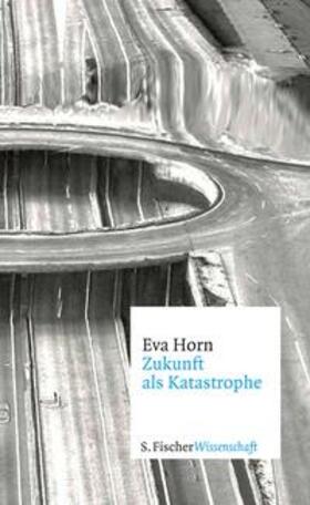 Horn |  Zukunft als Katastrophe | eBook | Sack Fachmedien