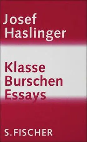 Haslinger |  Klasse Burschen | eBook | Sack Fachmedien