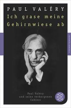 Valéry / Stölzel |  Ich grase meine Gehirnwiese ab | eBook | Sack Fachmedien