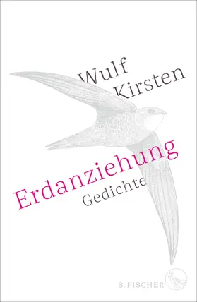 Kirsten |  Erdanziehung | eBook | Sack Fachmedien