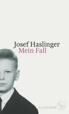 Haslinger |  Mein Fall | eBook | Sack Fachmedien