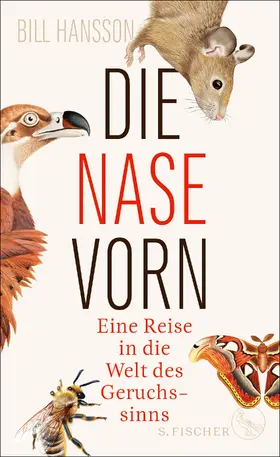 Hansson |  Die Nase vorn | eBook | Sack Fachmedien