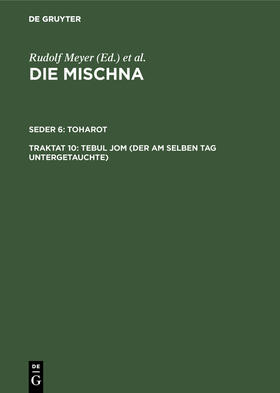 Lisowsky |  Tebul Jom (Der am selben Tag Untergetauchte) | Buch |  Sack Fachmedien