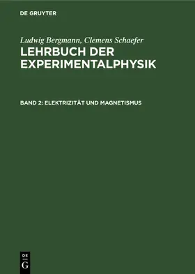  Elektrizität und Magnetismus | Buch |  Sack Fachmedien