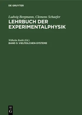 Raith |  Vielteilchen-Systeme | Buch |  Sack Fachmedien