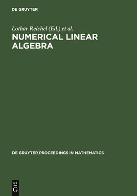 Reichel / Varga / Ruttan |  Numerical Linear Algebra | Buch |  Sack Fachmedien