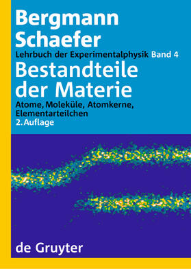 Raith | Bestandteile der Materie | Buch | 978-3-11-016800-6 | sack.de