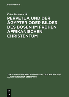 Habermehl |  Perpetua und der Ägypter oder Bilder des Bösen im frühen afrikanischen Christentum | Buch |  Sack Fachmedien