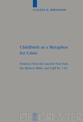 Bergmann |  Childbirth as a Metaphor for Crisis | Buch |  Sack Fachmedien