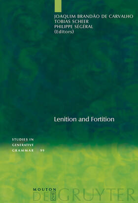 Brandão de Carvalho / Ségéral / Scheer |  Lenition and Fortition | Buch |  Sack Fachmedien