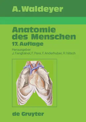 Fanghänel / Waldeyer / Pera |  Waldeyer - Anatomie des Menschen | eBook | Sack Fachmedien