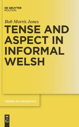 Jones |  Tense and Aspect in Informal Welsh | eBook | Sack Fachmedien