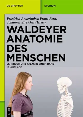 Anderhuber / Waldeyer / Pera |  Waldeyer - Anatomie des Menschen | eBook | Sack Fachmedien