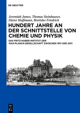 Friedrich / Steinhauser / James |  Hundert Jahre an der Schnittstelle von Chemie und Physik | eBook | Sack Fachmedien