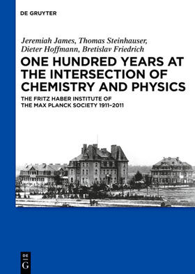 James / Friedrich / Steinhauser |  One Hundred Years at the Intersection of Chemistry and Physics | Buch |  Sack Fachmedien