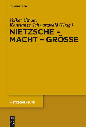 Schwarzwald / Caysa |  Nietzsche - Macht - Größe | Buch |  Sack Fachmedien