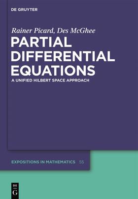 McGhee / Picard |  Partial Differential Equations | Buch |  Sack Fachmedien