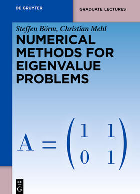 Mehl / Börm |  Numerical Methods for Eigenvalue Problems | Buch |  Sack Fachmedien
