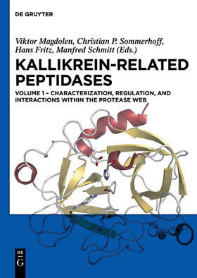 Magdolen / Schmitt / Sommerhoff |  Characterization, regulation, and interactions within the protease web | Buch |  Sack Fachmedien