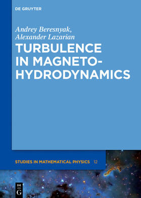 Beresnyak / Lazarian |  Turbulence in Magnetohydrodynamics | Buch |  Sack Fachmedien