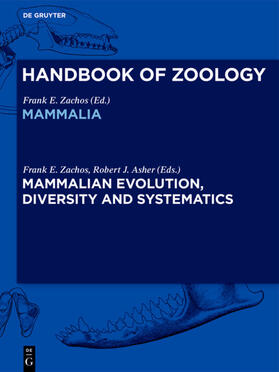 Kükenthal / Zachos / Beier |  Handbook of Zoology/ Handbuch der Zoologie, Mammalian Evolution, Diversity and Systematics | Buch |  Sack Fachmedien