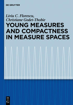 Godet-Thobie / Florescu |  Young Measures and Compactness in Measure Spaces | Buch |  Sack Fachmedien