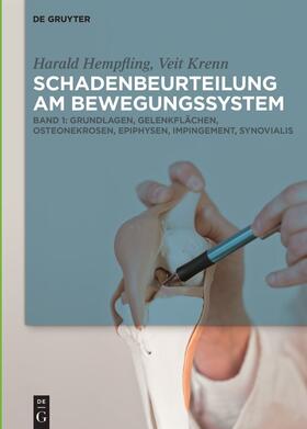  Grundlagen, Gelenkflächen, Osteonekrosen, Epiphysen, Impingement, Synovialis | Buch |  Sack Fachmedien