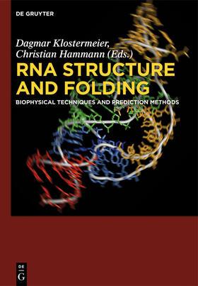 Hammann / Klostermeier |  RNA Structure and Folding | Buch |  Sack Fachmedien