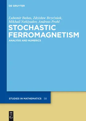 Banas / Prohl / Brzezniak |  Stochastic Ferromagnetism | Buch |  Sack Fachmedien